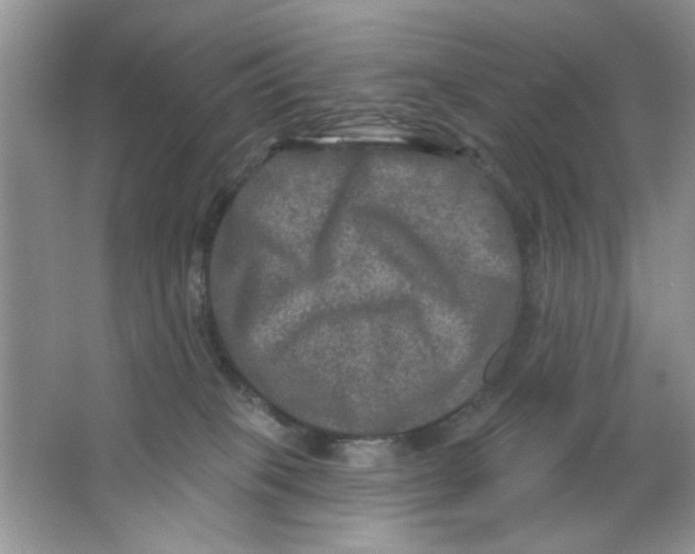 X0000063530085200602102029