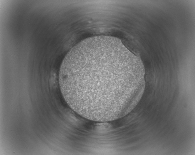 X0000063530087200602102029