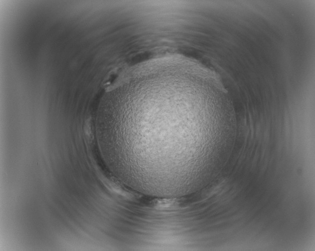 X0000063530088200602102029