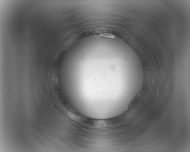 X0000063530091200602102029