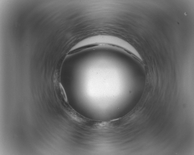 X0000063530092200602102029