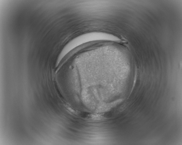 X0000063530093200602102029