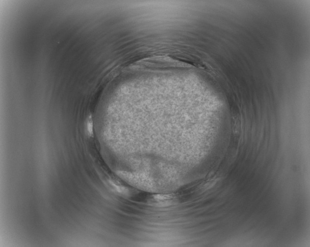 X0000063530095200602102029