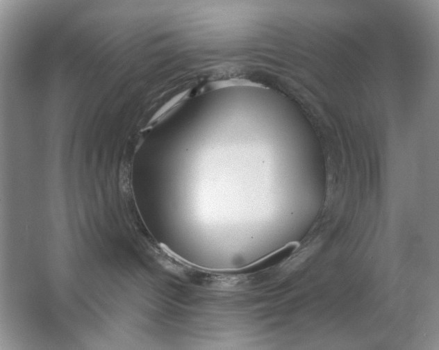 X0000063530096200602102029