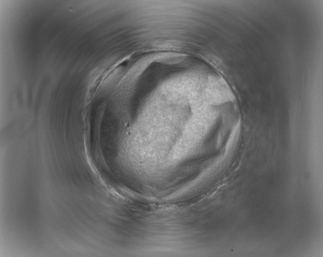 X0000063530097200602102028