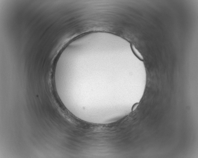 X0000063530098200602102028