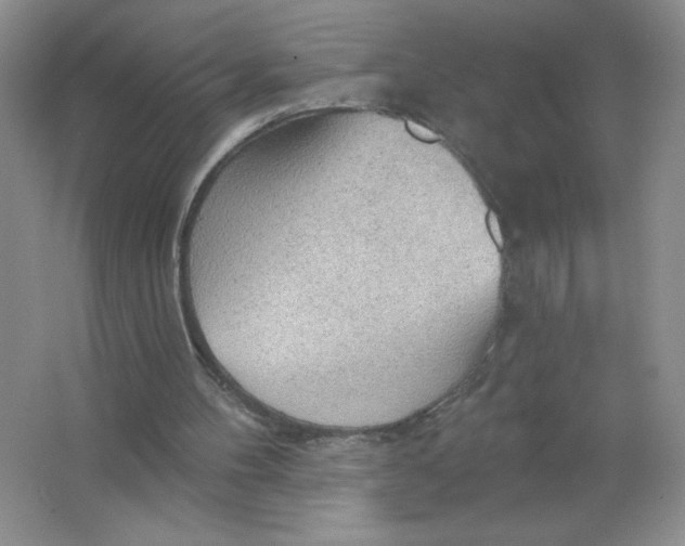 X0000063530100200602102028