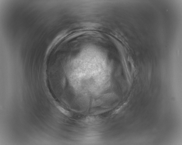 X0000063530101200602102028