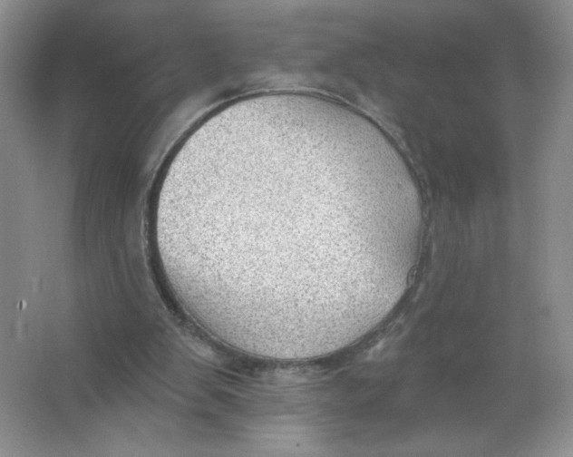 X0000063530103200602102028