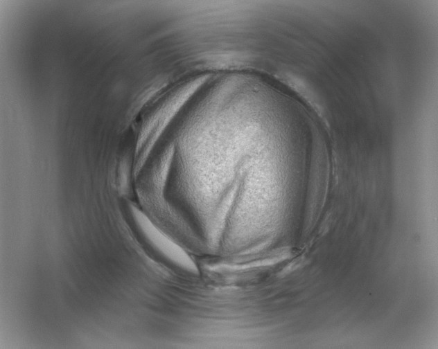 X0000063530105200602102028