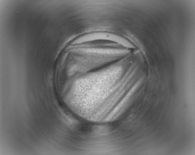 X0000063530107200602102028