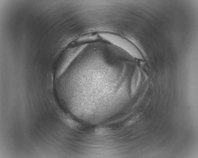 X0000063530109200602102028