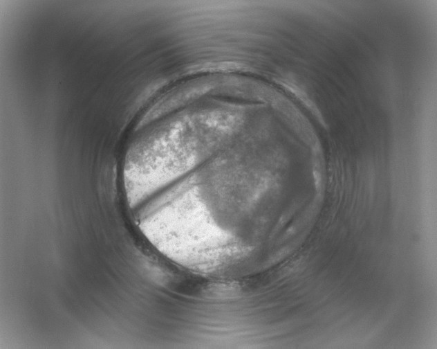 X0000063530110200602102028