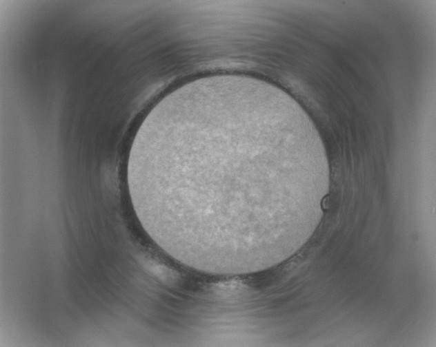 X0000063530112200602102028