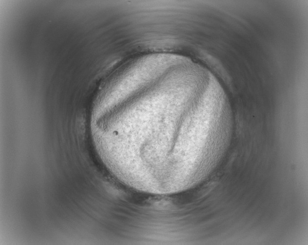 X0000063530113200602102028