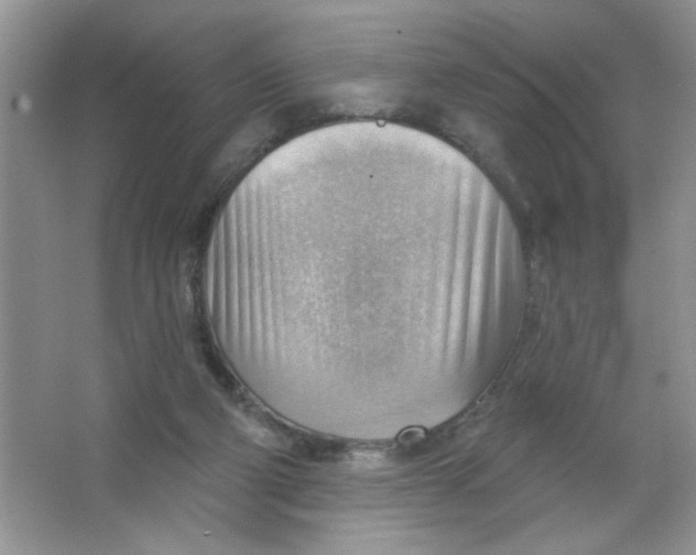 X0000063530114200602102028