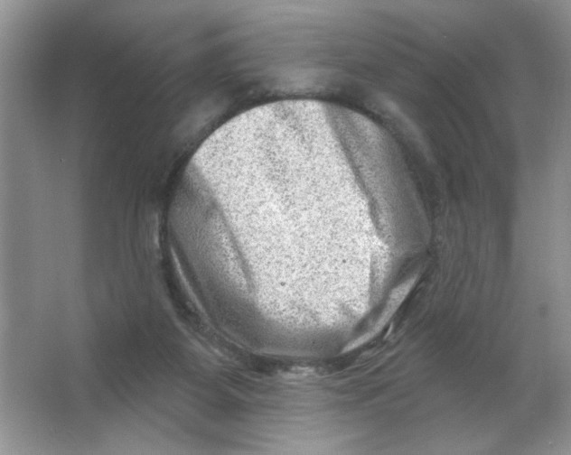 X0000063530115200602102028