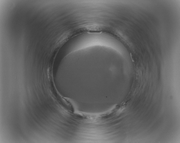 X0000063530117200602102028