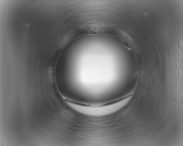 X0000063530121200602102027