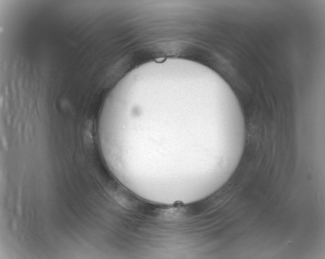 X0000063530122200602102027