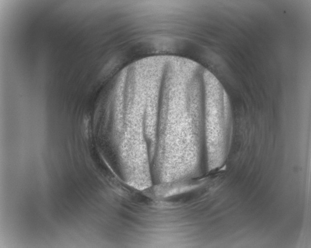 X0000063530123200602102027