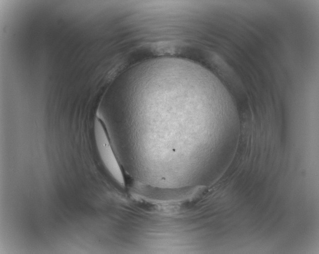 X0000063530125200602102027