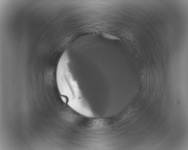 X0000063530127200602102027