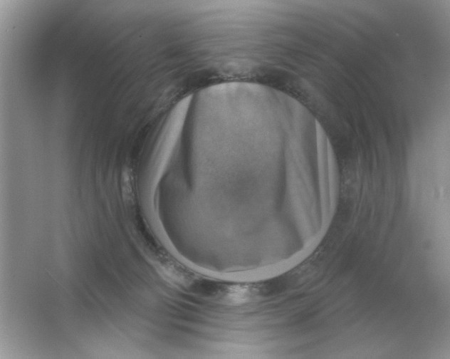 X0000063530130200602102027