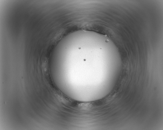 X0000063530133200602102027