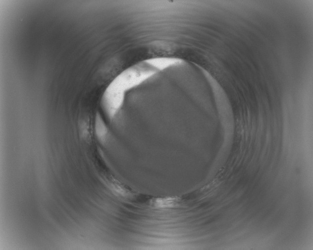 X0000063530134200602102027