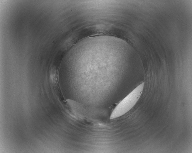 X0000063530137200602102027