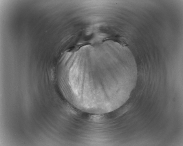 X0000063530139200602102027