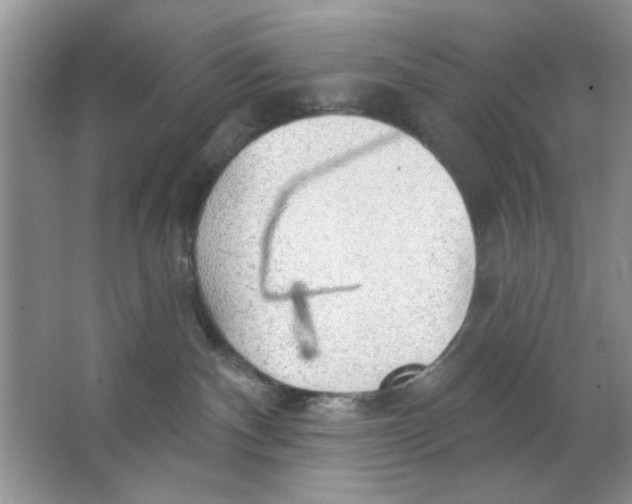 X0000063530140200602102027