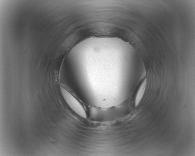 X0000063530141200602102027