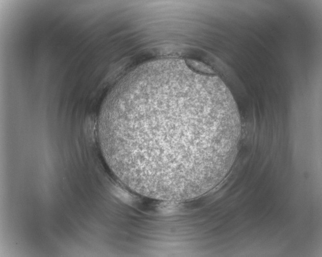 X0000063530142200602102027