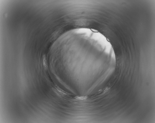 X0000063530143200602102027