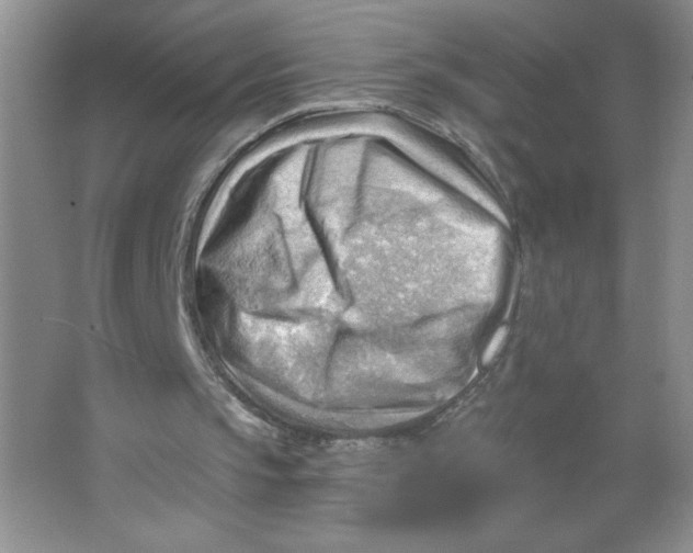 X0000063530145200602102026