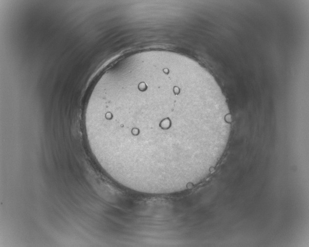 X0000063530146200602102026