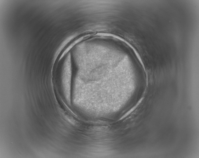 X0000063530147200602102026