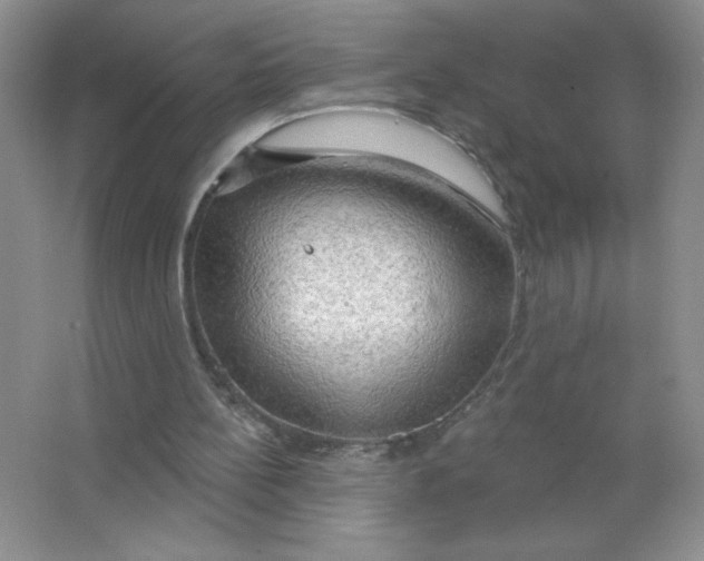 X0000063530148200602102026