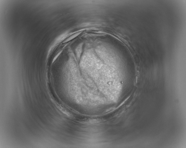 X0000063530149200602102026