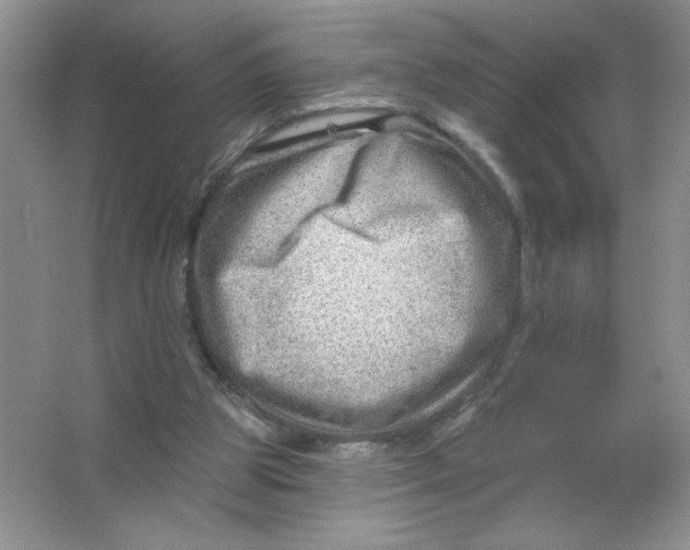 X0000063530153200602102026