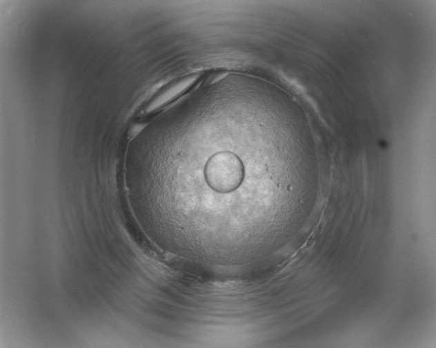 X0000063530154200602102026