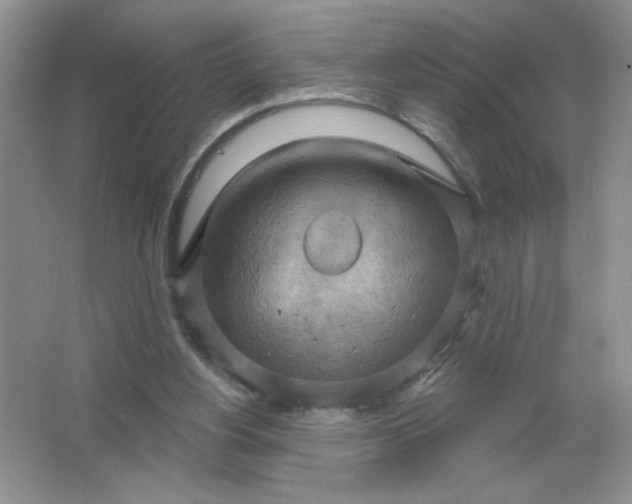 X0000063530156200602102026