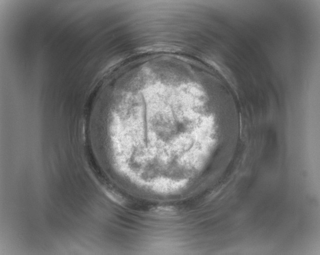 X0000063530157200602102026