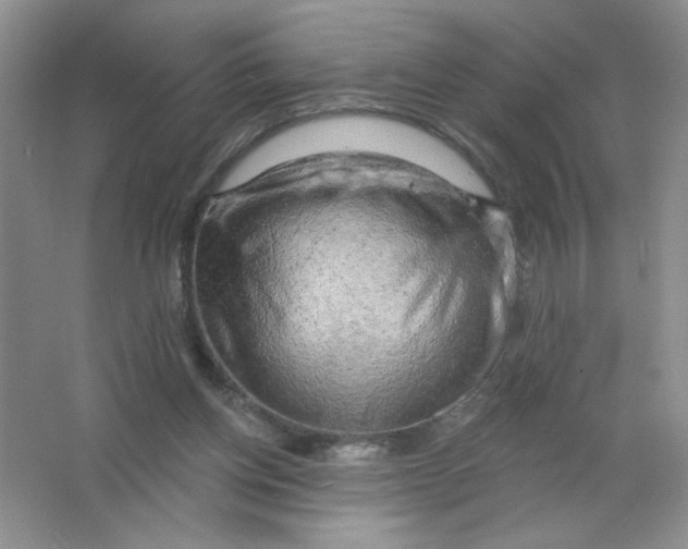 X0000063530158200602102026