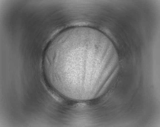 X0000063530159200602102027