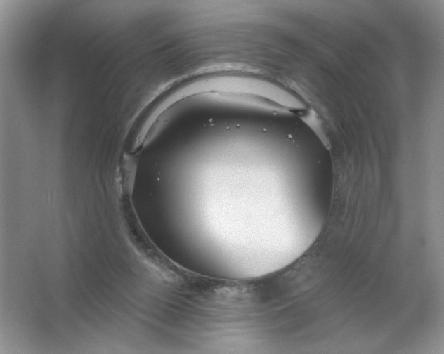 X0000063530160200602102027