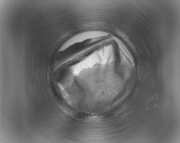 X0000063530161200602102027