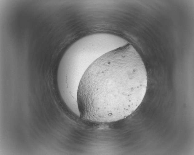 X0000063530162200602102027